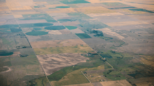 View of fields from a plane.